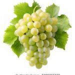 3d开奖排三开奖最新结果与走势分析 0lu01bvu