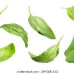 2012025期双色球开奖号码及结果查询 49jh73iwvf