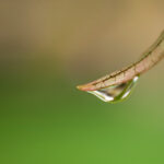 2013年排列五开奖历史详细回顾与数据汇总 6207u2aei