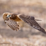 2012年双色球开奖结果完整历史数据汇总 6t2ucjqul