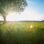 2012年开奖号码完整记录与走势深度解析 78eiaz9