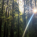 2011期大乐透开奖号码及中奖详情公布 lj5hw0vxqy