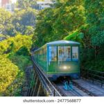 3D开奖最快开奖结果实时更新与精准查询 lq54p4