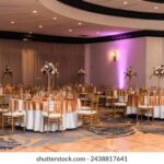 2013年双色球历史开奖号码完整记录与详细解析 pv5rih