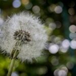 2014041期双色球开奖号码结果查询 w5f4etg