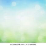 2013060期双色球开奖结果查询与中奖号码公布 y864ou8og1